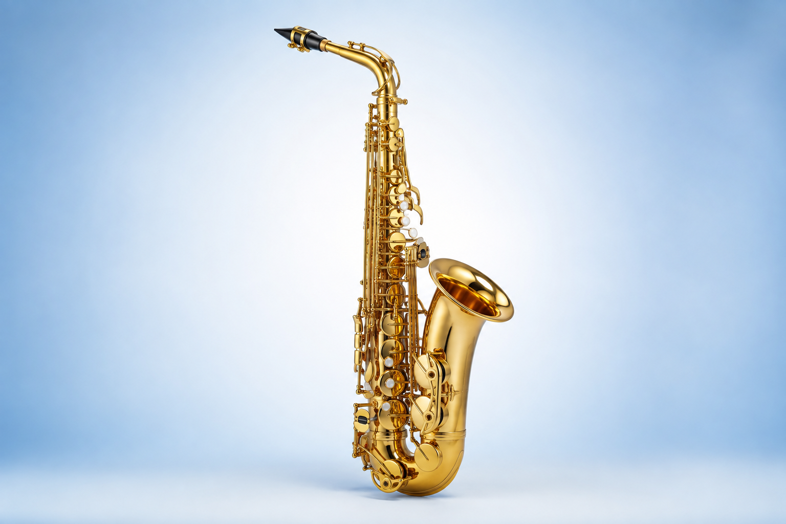 Saxophon-Ensemble der Stadtkapelle Landau