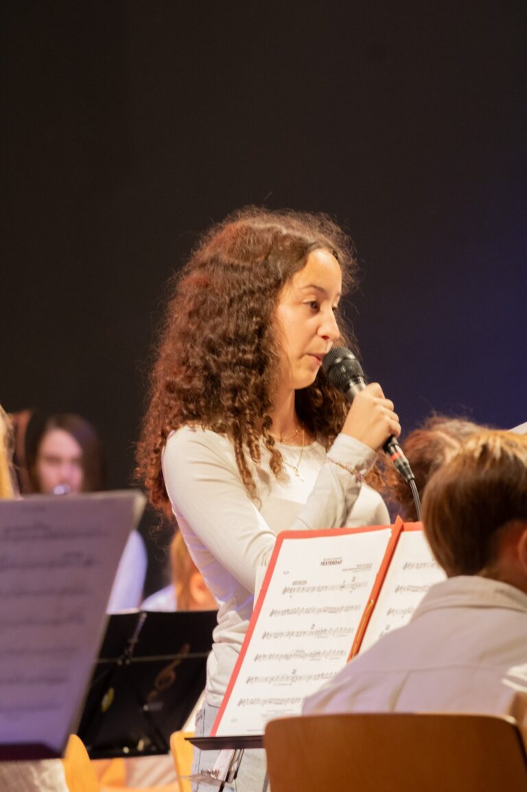 Deutsch-Französisches Benefizkonzert in Schaidt